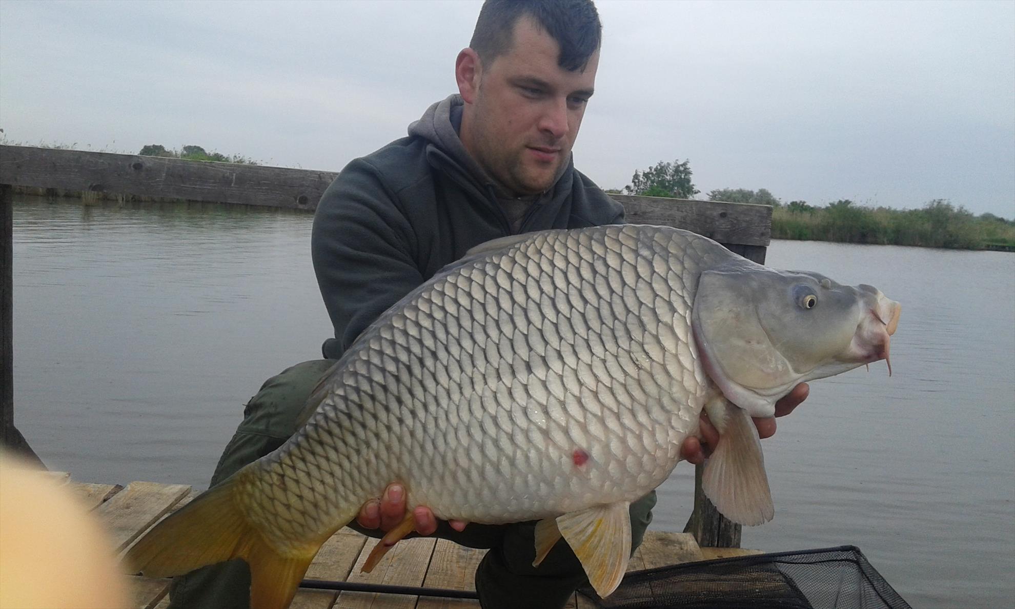 0HAT 3 2016 - 20160429101746.jpg